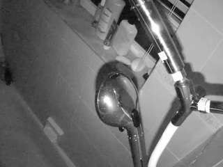 voyeurcam charleys bathroom